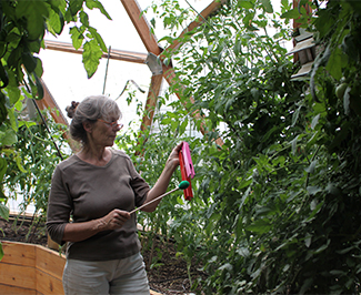 Acutonics®: Thesis Development & Presentation