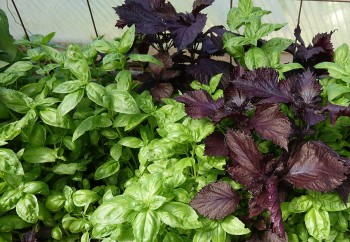 Rediscover the Sacredness in Everyday Life