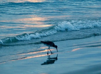 Harmony, Peace and Magic Moments this Holiday Season