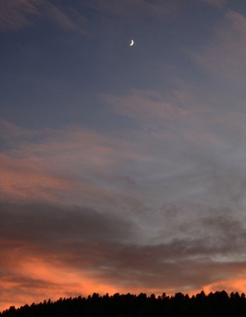 Collaboration, Nurturance and Community