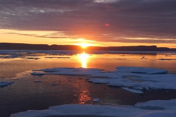 Heart Presence - LOVE is Always the Answer