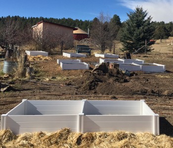 Awaken to the Abundance of Spring