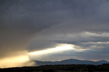 Acutonics: Sounds Like Ohm