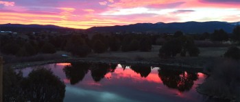 Gratitude and Grace - Honoring the Earth