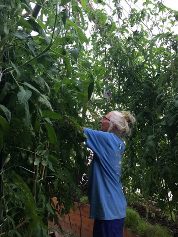 From the Mothership September 2016