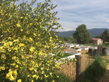 Self Care Affirmations and Treatment Tips for June 2018