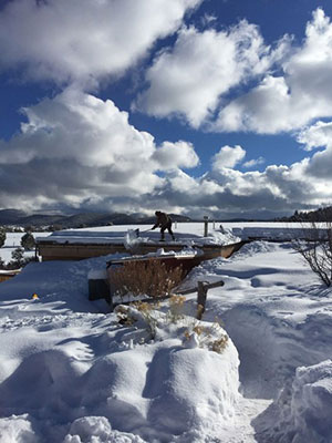 Eating Healthy In Winter: Vegetable feasts from our growing dome enhanced through Sound Therapy