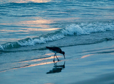 Harmony, Peace and Magic Moments this Holiday Season