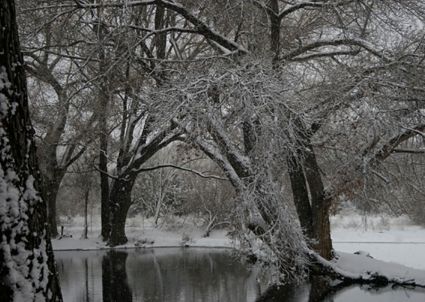 A Self-Care Winter