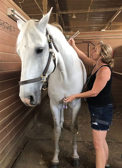 Patty Warren the Horse Whisperer