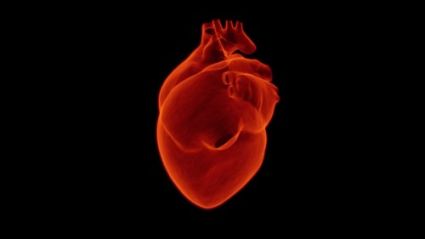 Connecting With Our Heart Field