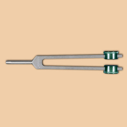 Earth Day Low Fork product image