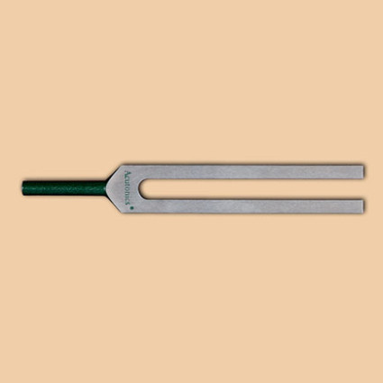 Earth Day High Fork product image
