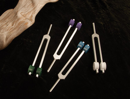 Earth Zodiac Moon Low Set product image