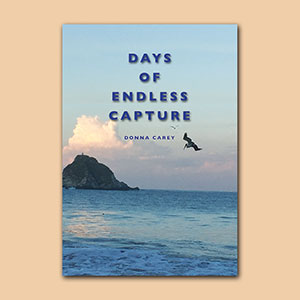 Days of Endless Capture Poetry Book product image