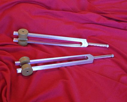 Ohm Low Unison Bored Out Gem Tip Forks Set product image