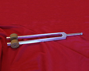 Ohm Low Bored Out Gem Tip Fork product image