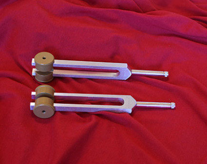 Ohm Middle Unison Bored Out Gem Tip Forks Set product image