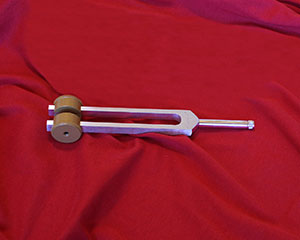 Ohm Middle Bored Out Gem Tip Fork product image