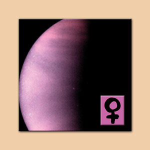 Venus Oil product image
