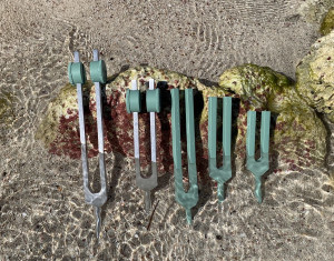 Shop Tuning Forks